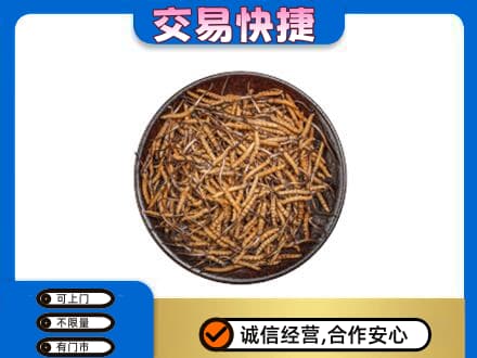 大庆林甸县回收散虫草
